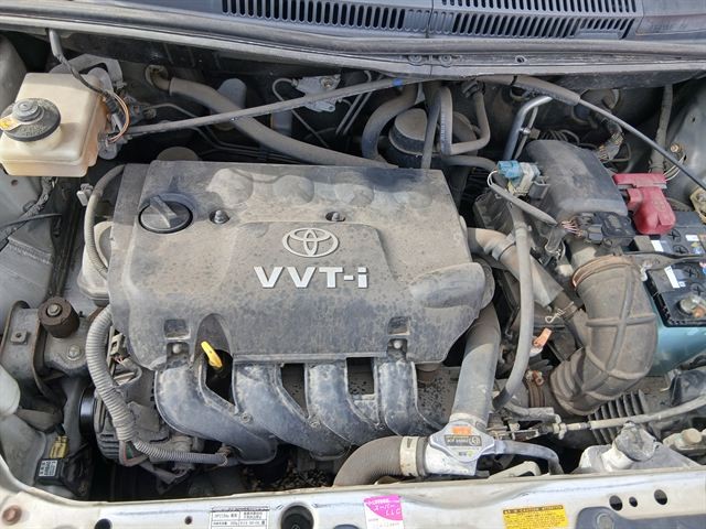 08.jpg