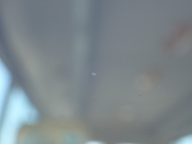 396007bd51a094e1c1df2900eb8c8bb5.jpeg