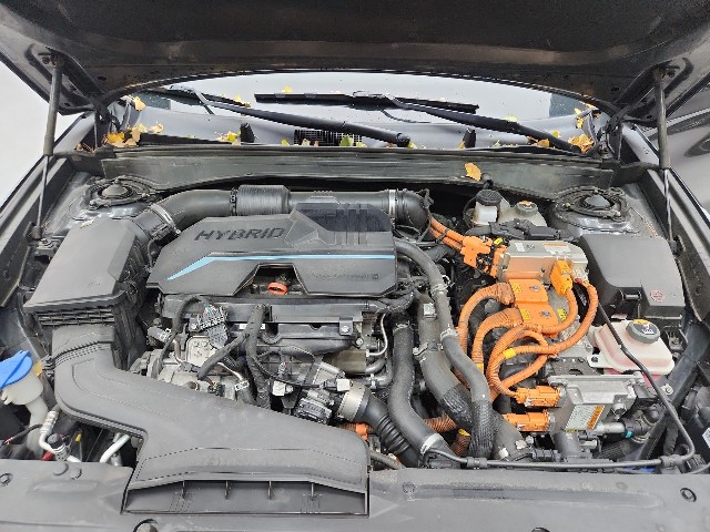 lotterental_144451311_bAEW6_9.jpg