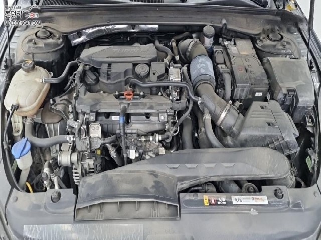 40d7d297f311a349ce6dd2831ce31251.jpeg