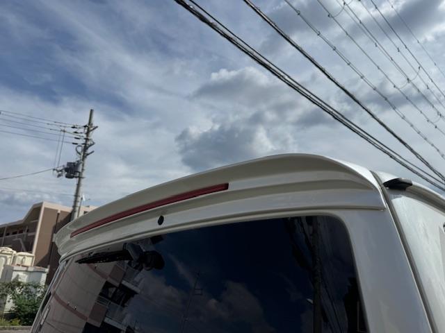 9731074A30250925W00114.jpg