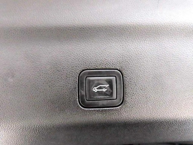 0be08f2ff4acb83b543ec1ed0fd5fbba.jpeg