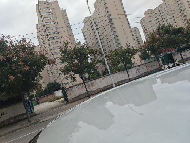 4fc25d25ead4feac661b68f259cd9eba.jpeg