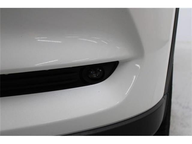 2adf7dc8e30baad2ef3d7d576cf0bd79.jpg