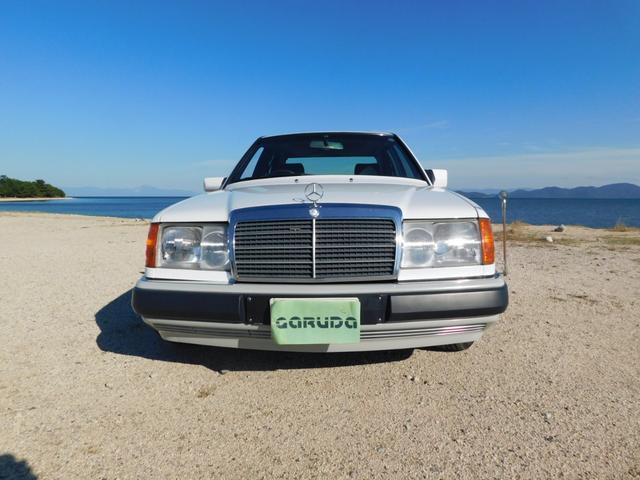 20626265_carP_l_3.jpg