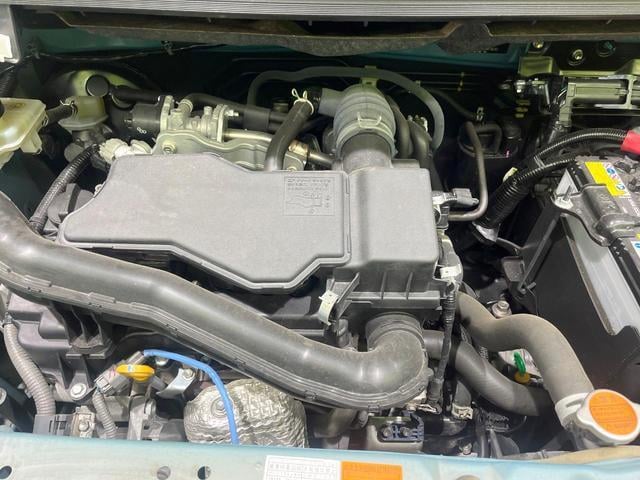 18741972_carP_l_16.jpg