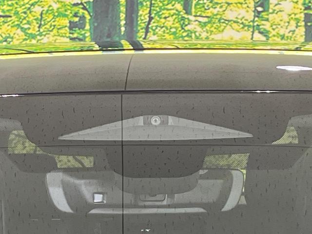22800025_carP_l_15.jpg