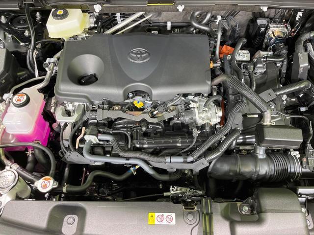 22800025_carP_l_16.jpg