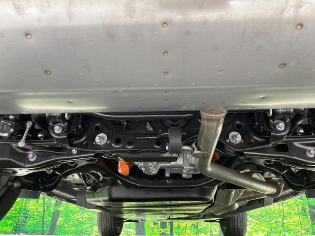 22800025_carP_l_18.jpg