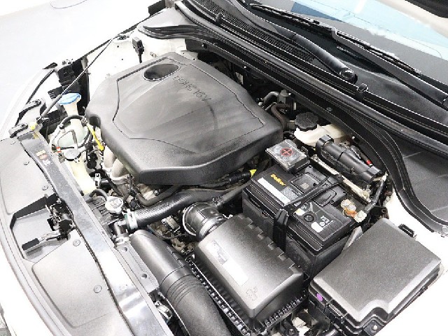 f16ae91eef6beb85ca2d73205c83c5c7.jpeg