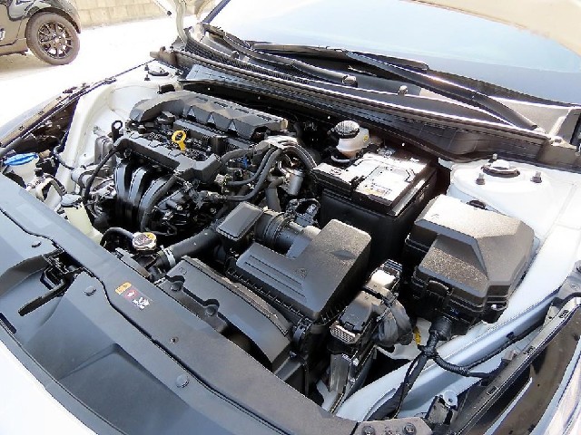 f431edde067f14430885fa401deb0954.jpeg