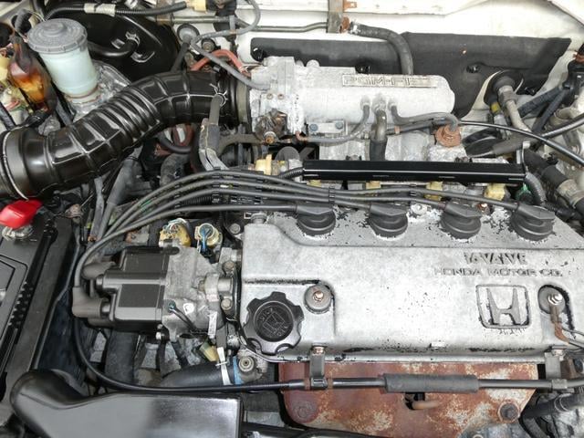0403642A20251016W00317.jpg
