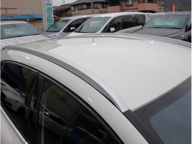 20124776_carP_l_5.jpg