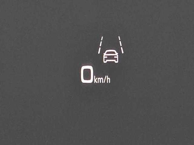 f3903635425f68a5e0a725bdf4e59995.jpeg