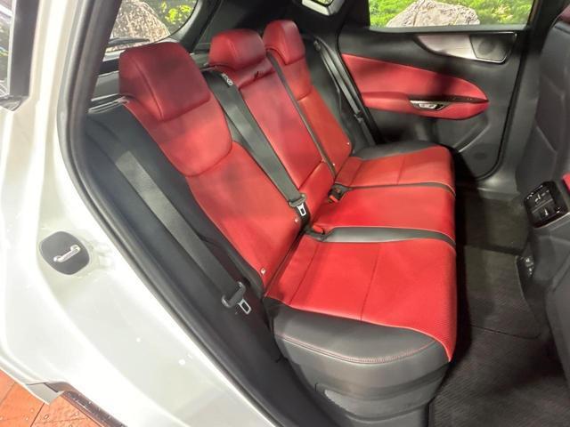 23130779_carP_l_19.jpg