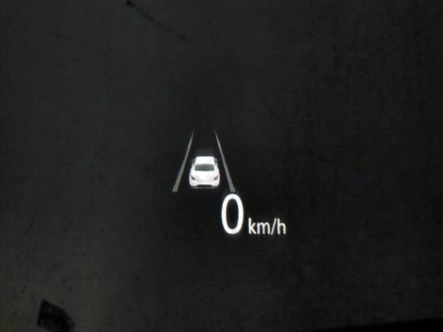 43909e6ac706e40d7ba95a895c3e8b4c.jpeg