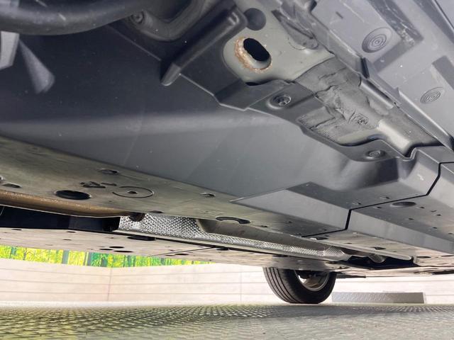 22639060_carP_l_20.jpg