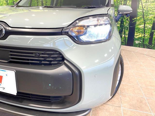 21096932_carP_l_7.jpg