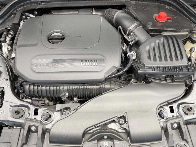 21343500_carP_l_20.jpg