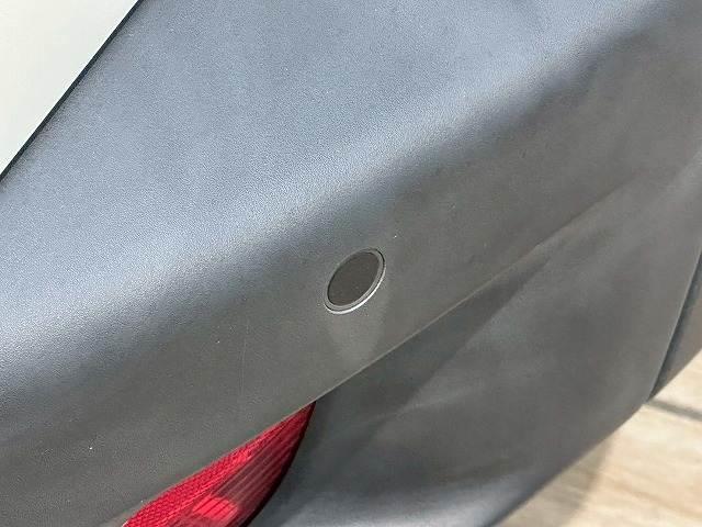 22633504_carP_l_17.jpg