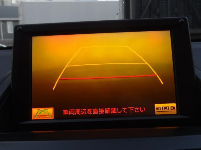 21548877_carP_l_19.jpg