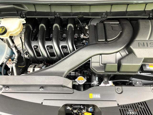 21343717_carP_l_20.jpg