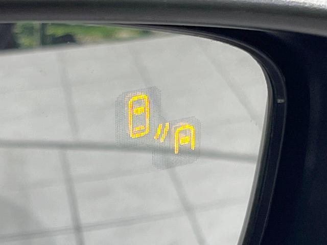 20503281_carP_l_13.jpg