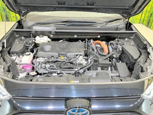 19506415_carP_l_12.jpg