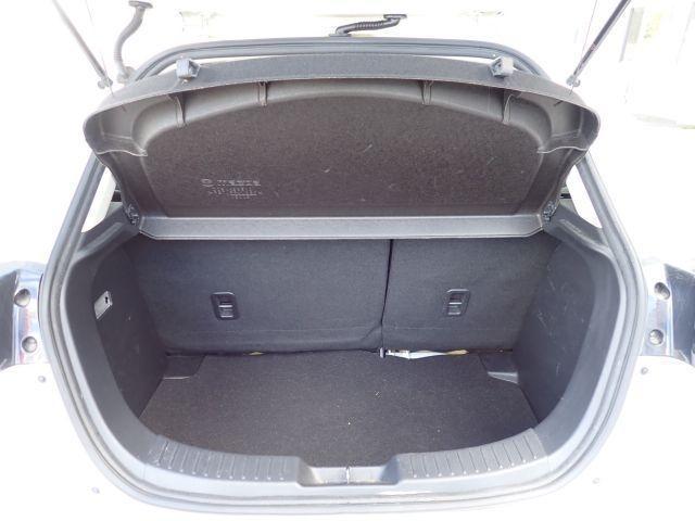 21205557_carP_l_12.jpg