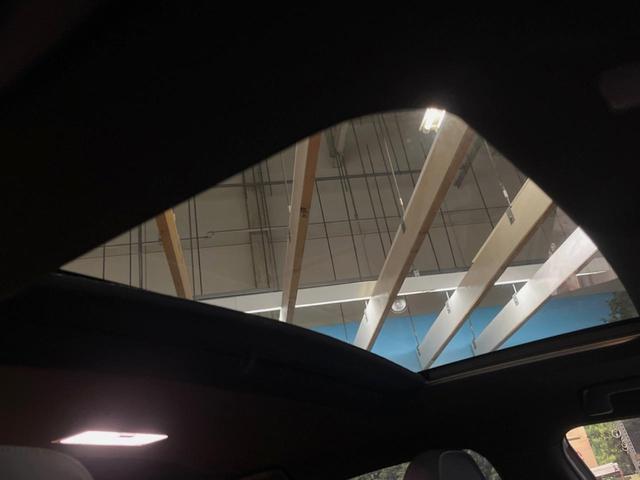 20401311_carP_l_11.jpg