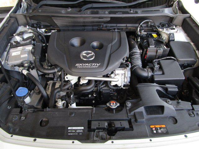 ce97a87b09c07443be5dfbaa1b3287db.jpg