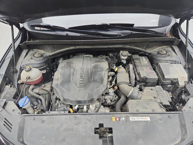 lotterental_222232418_xbt0p_4.jpg