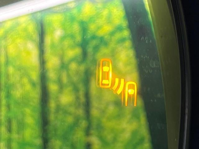 19929219_carP_l_14.jpg