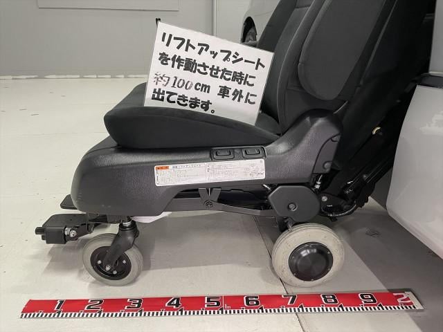 20039886_carP_l_5.jpg