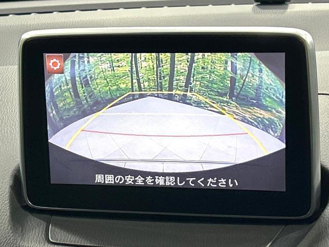 21344311_carP_l_4.jpg