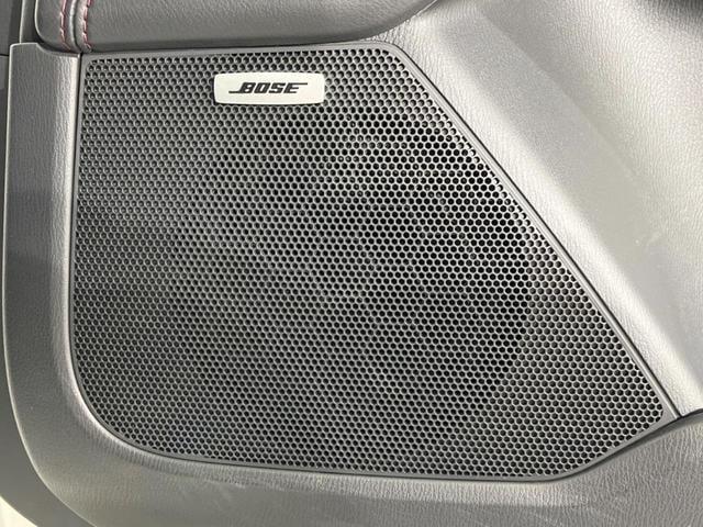 21853692_carP_l_13.jpg