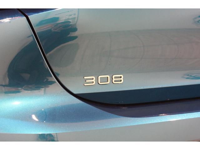 22204980_carP_l_7.jpg