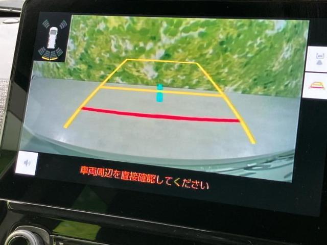 20787860_carP_l_5.jpg