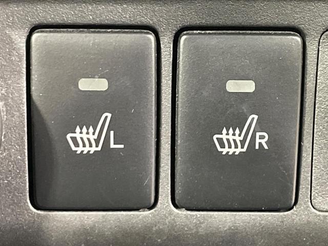 21237119_carP_l_14.jpg