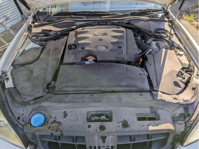 21741632_carP_l_19.jpg