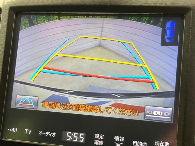 21565726_carP_l_10.jpg