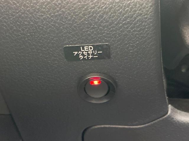 20244901_carP_l_12.jpg