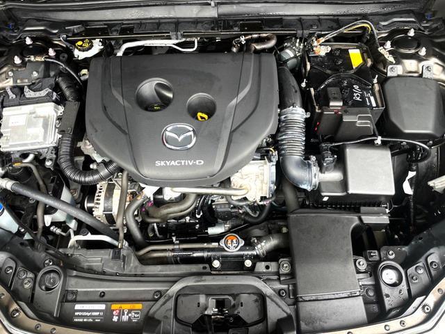 22681294_carP_l_12.jpg