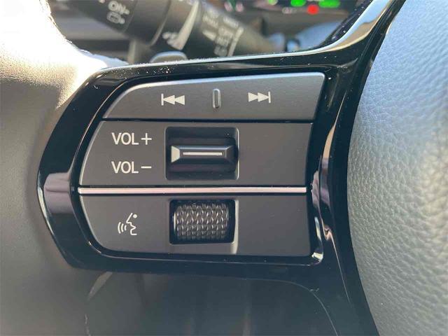21003936_carP_l_12.jpg