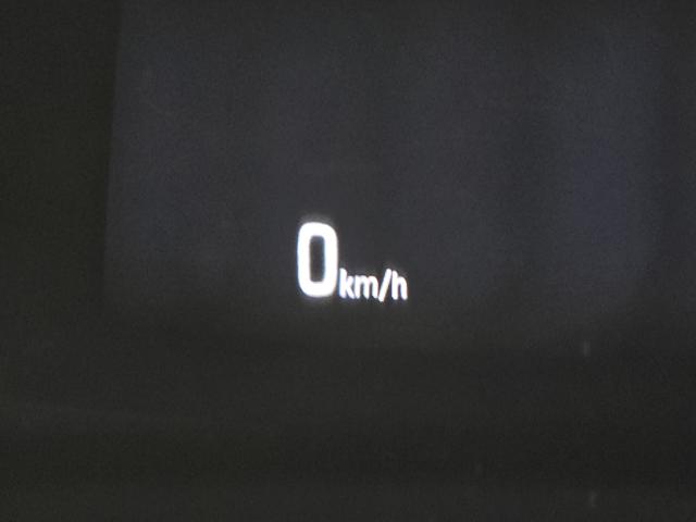 43e70e54c36e63e948c59d092848fbe4.jpeg