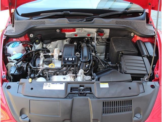 19399637_carP_l_16.jpg