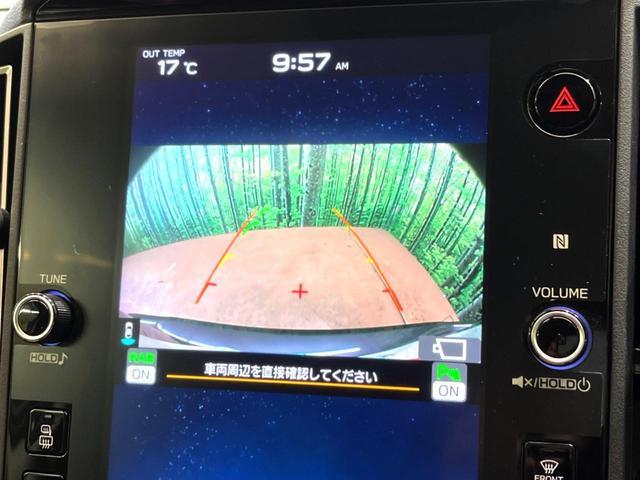 20401230_carP_l_4.jpg