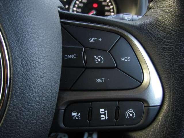 22311260_carP_l_13.jpg
