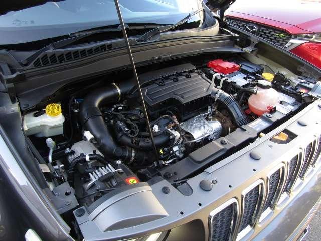22311260_carP_l_18.jpg
