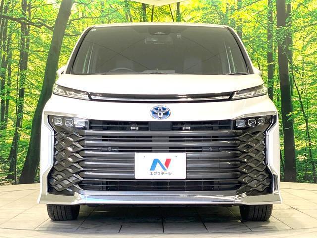 22449097_carP_l_11.jpg